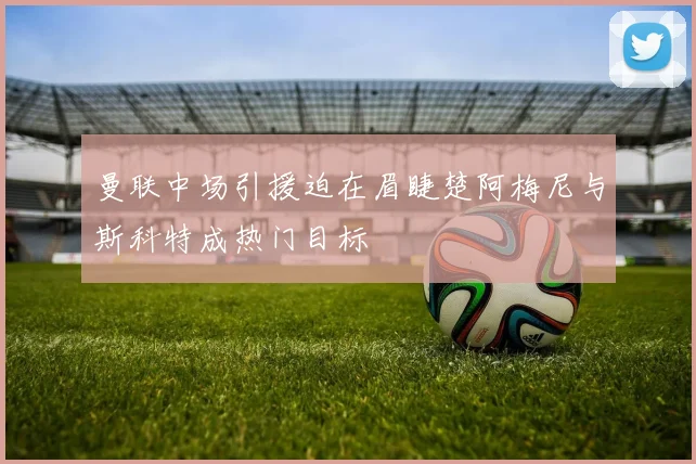 曼联中场引援迫在眉睫楚阿梅尼与斯科特成热门目标