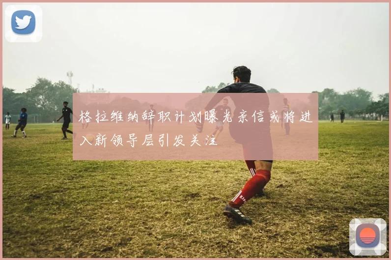 格拉维纳辞职计划曝光亲信或将进入新领导层引发关注
