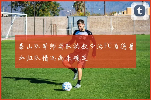 泰山队军师离队执教今治FC马德鲁加归队情况尚未确定