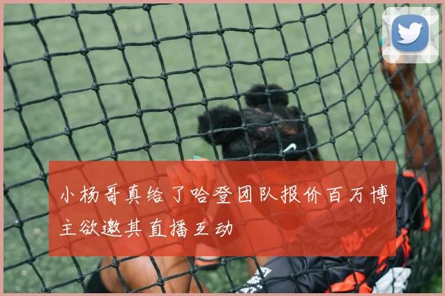小杨哥真给了哈登团队报价百万博主欲邀其直播互动